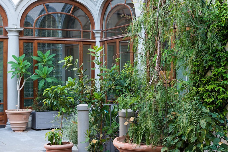 The garden at the museum. Image by Museo Villoresi

