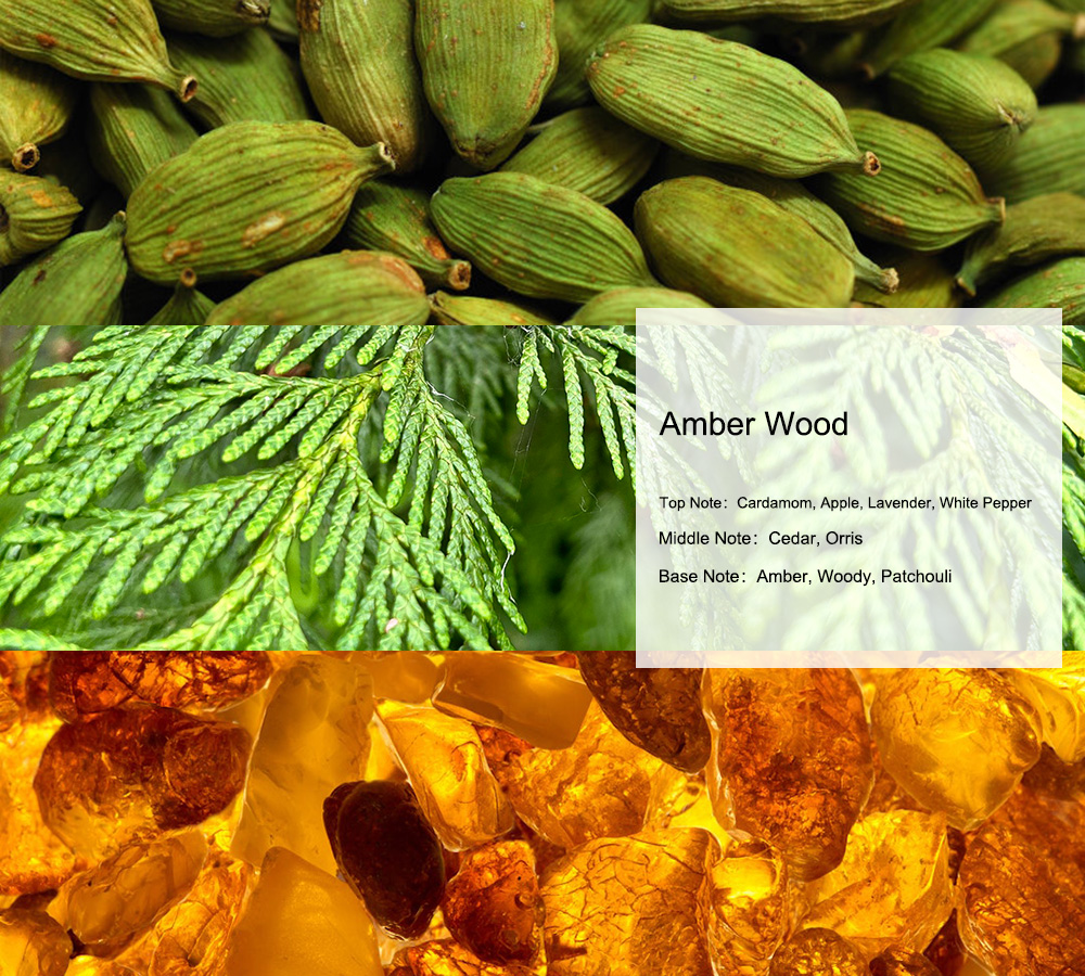 Ajmal Amber Wood Perfume Oil | Fragrances - Unique Aroma